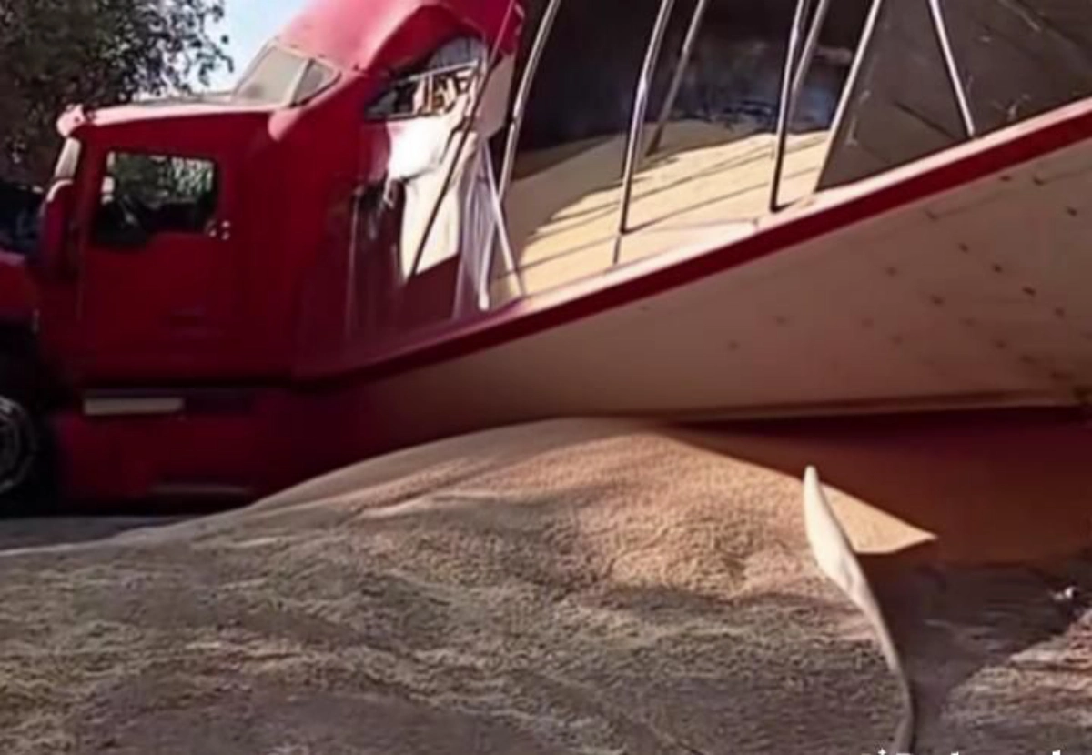 Tren embiste a tráiler cargado con maíz en Tlaxcoapan: saldo de un herido y cierre parcial de vialidad