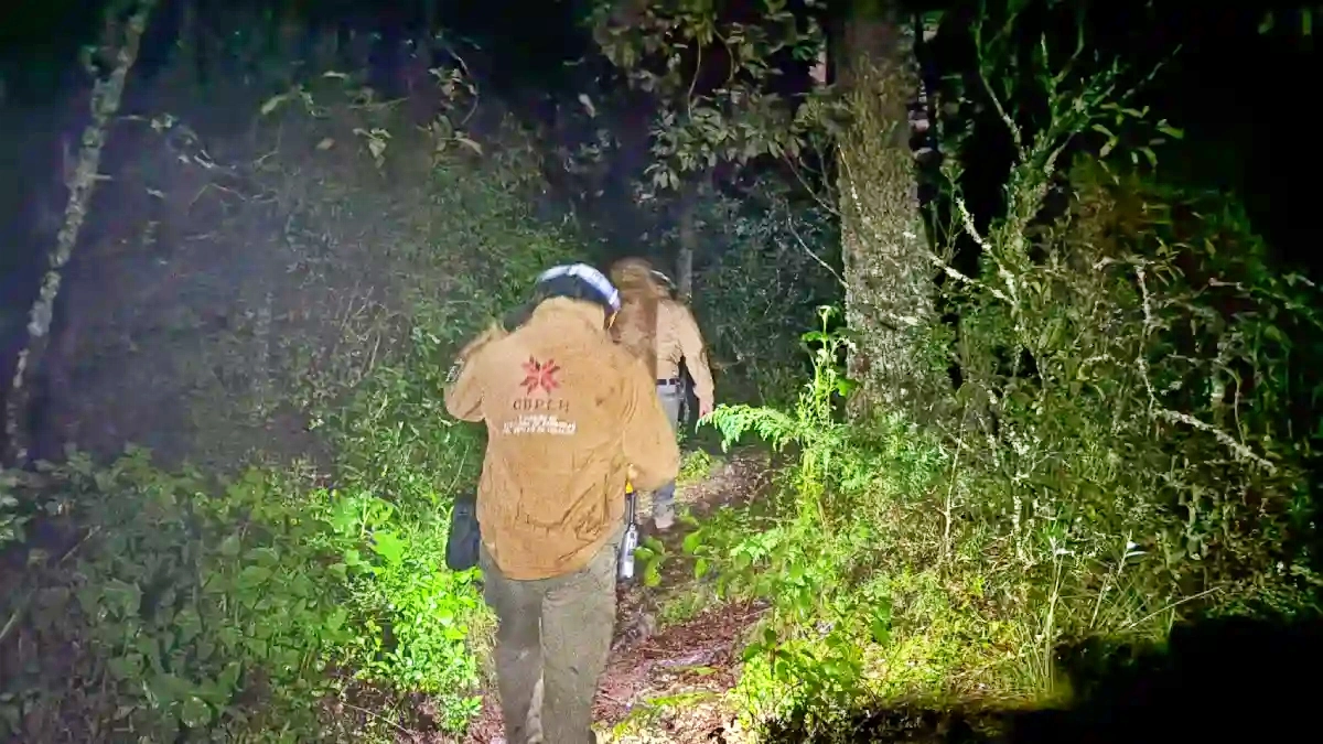 Rescatan a 5 personas extraviadas en bosque de Mineral del Chico; buscaban una cascada