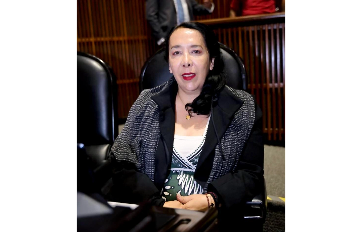 Diputada de Morena Hilda Brown implicada en red del Cártel de Sinaloa, acusa EE. UU.