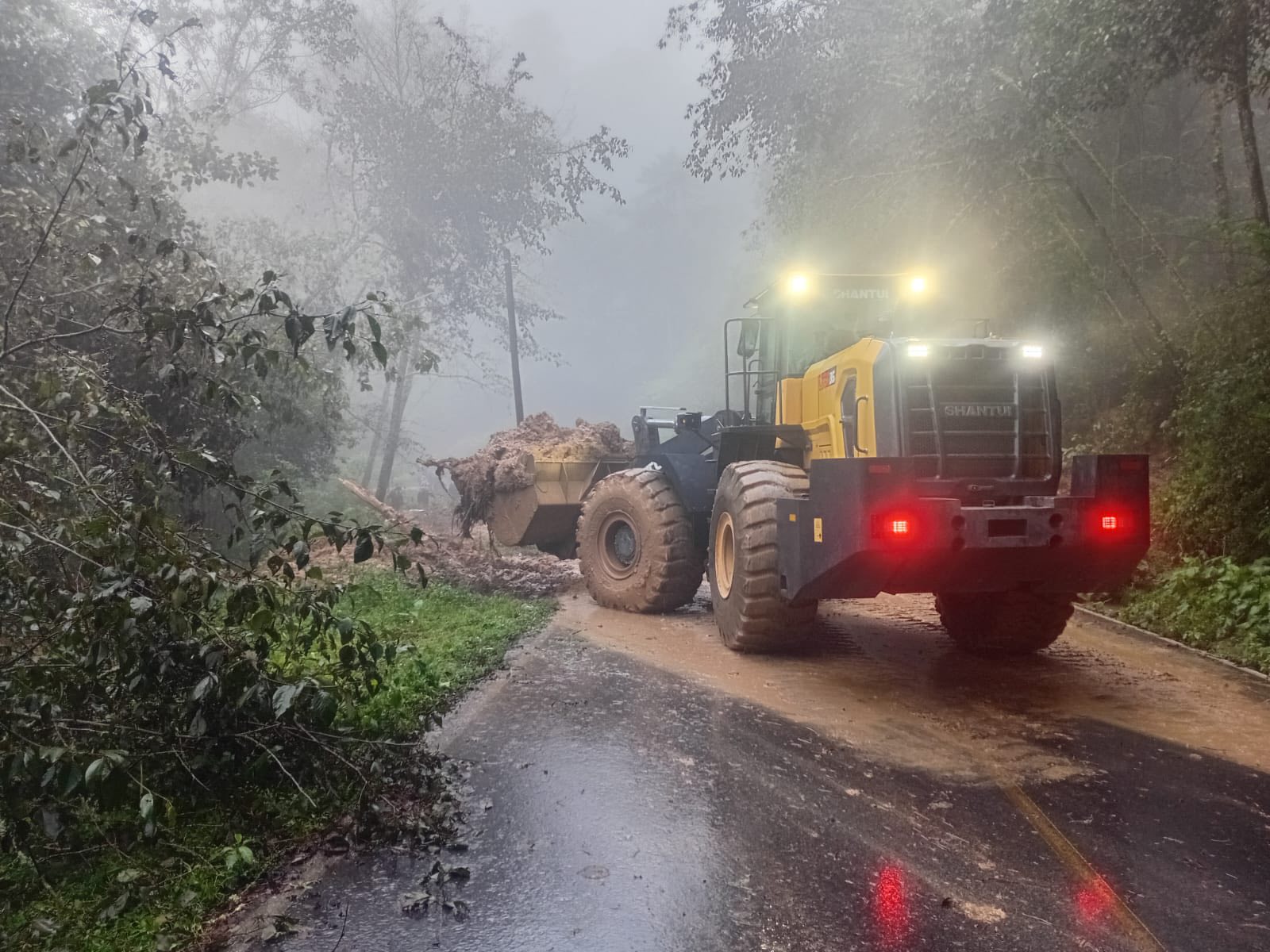 Priscilla, la tormenta que arrasó, y el gobierno que no avisó
