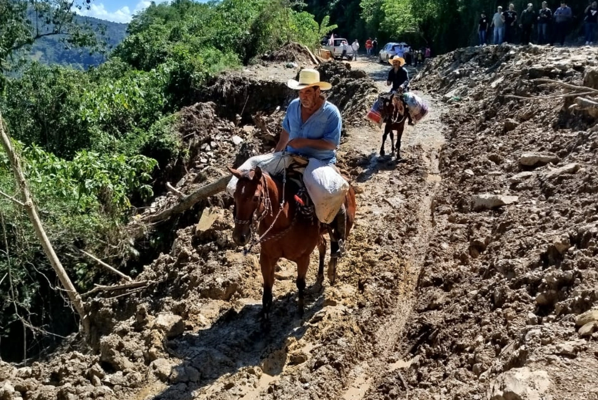 Gobierno de Hidalgo usa caballos y maquinaria pesada para llevar víveres y abrir caminos en la Huasteca