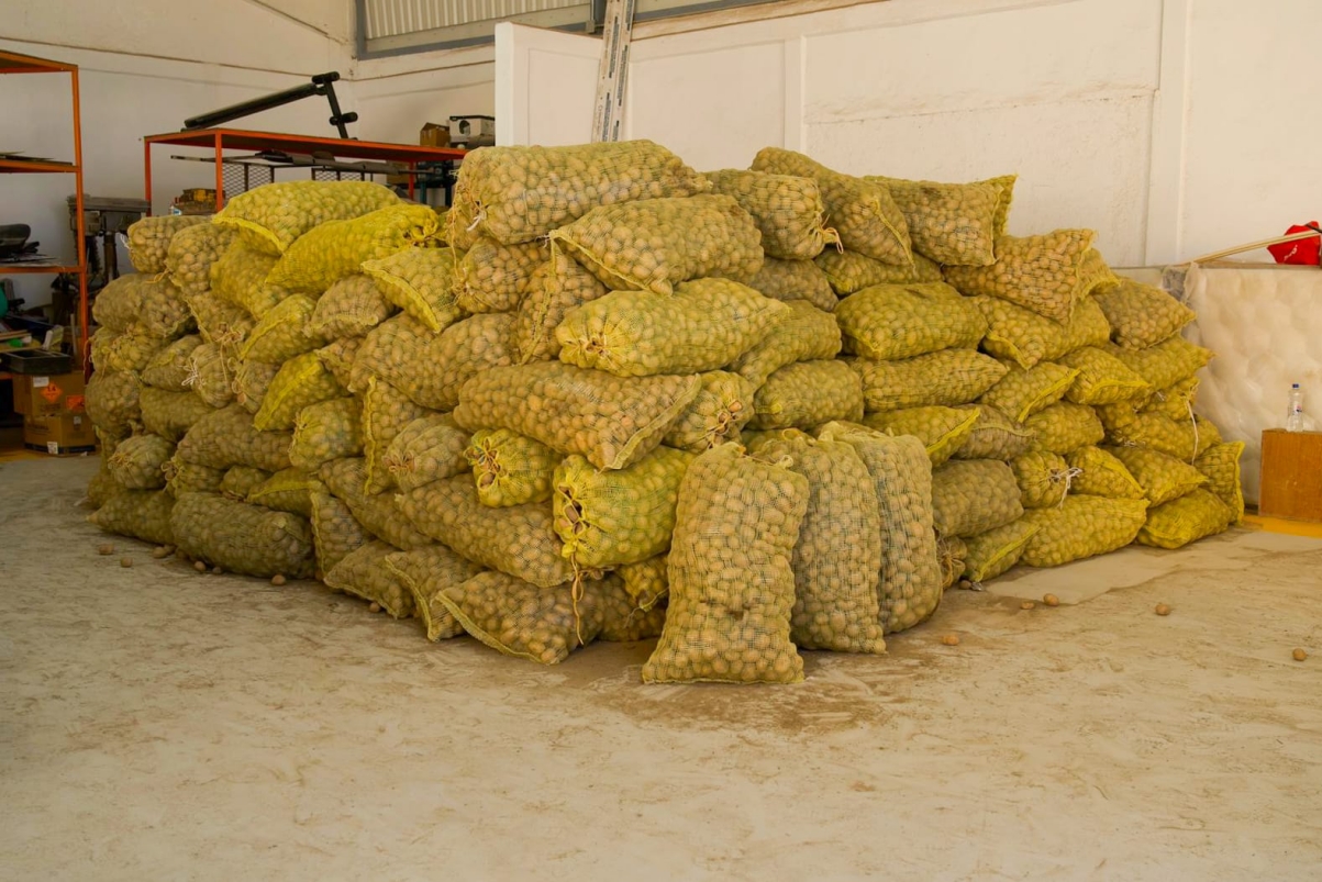 Campesino de Metztitlán dona 15 toneladas de papa para familias afectadas por las lluvias en Hidalgo