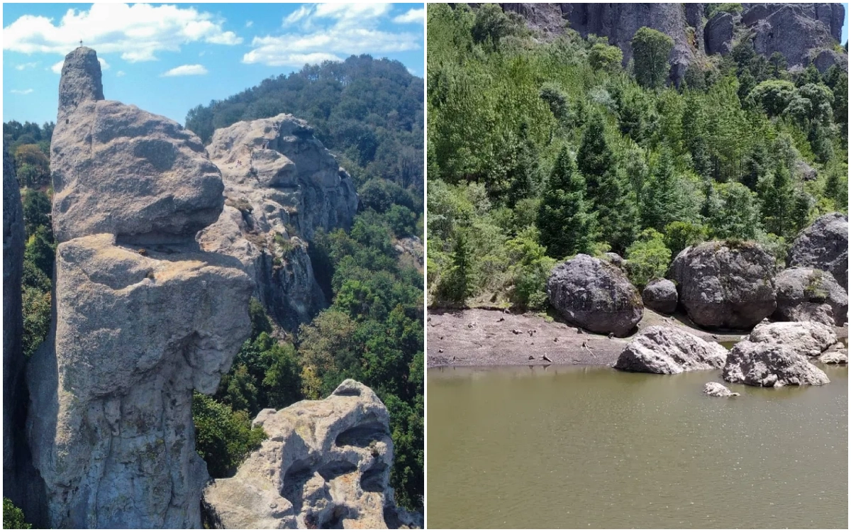 Este bosque en Hidalgo tiene las mejores rutas para hacer hiking sin salir del estado